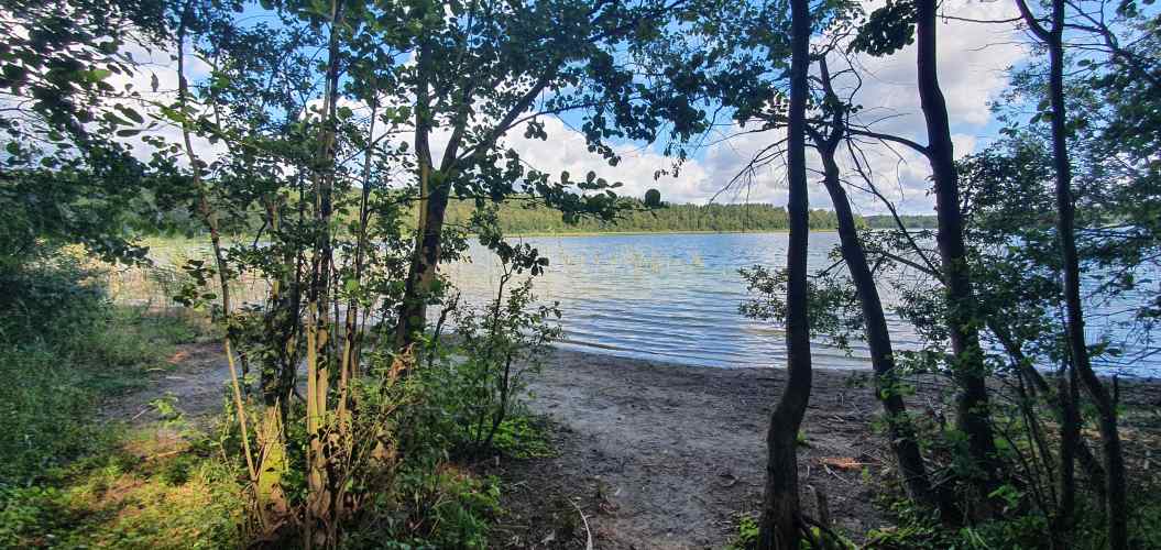 Bucht am Westufer des Wittwesee im Sommer