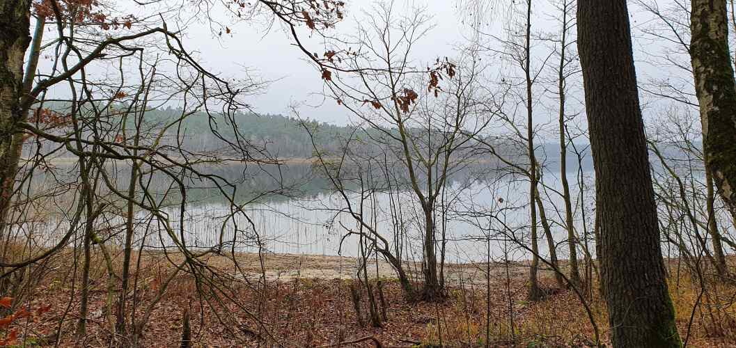 Bucht am Westufer des Wittwesee im Winter