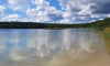 Blick auf eine Schilfinsel im Wittwesee im Sommer