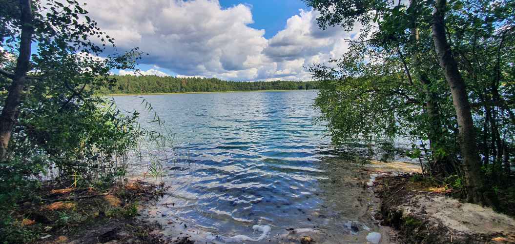 Zugang zum Wittwesse im Sommer