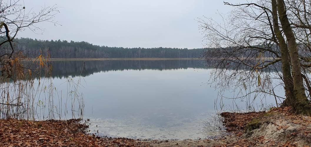 Zugang zum Wittwesse im Winter