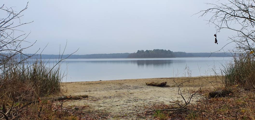 Blick vom Südufer über den Wittwesee im Winter