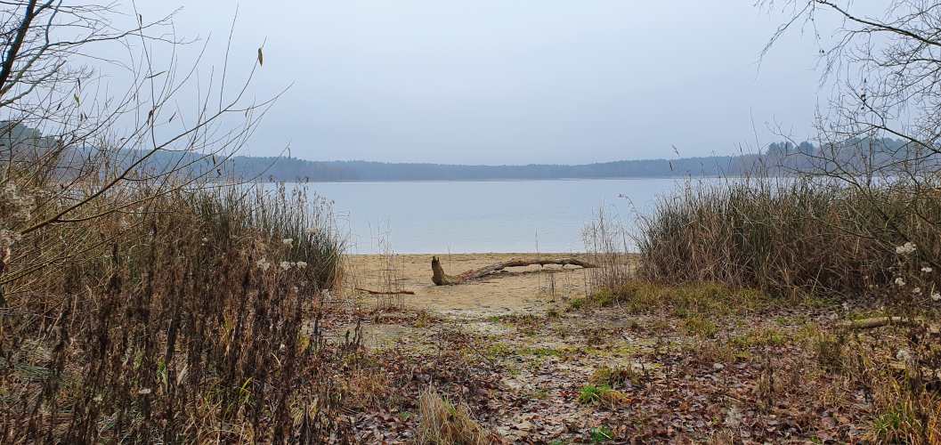 Uferbereich des Wittwesees im Winter mit Niedrigwasser